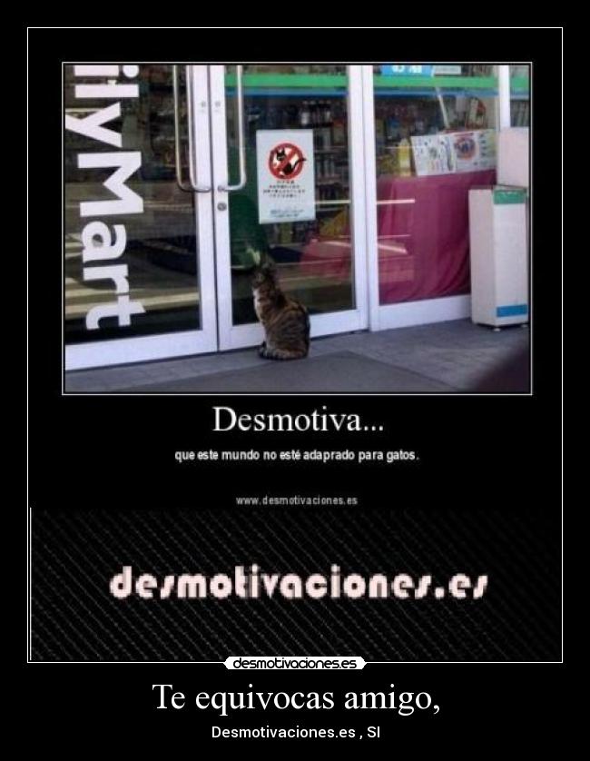 Te equivocas amigo, - Desmotivaciones.es , SI
