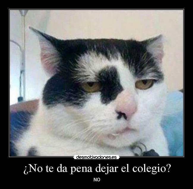 ¿No te da pena dejar el colegio? - 
