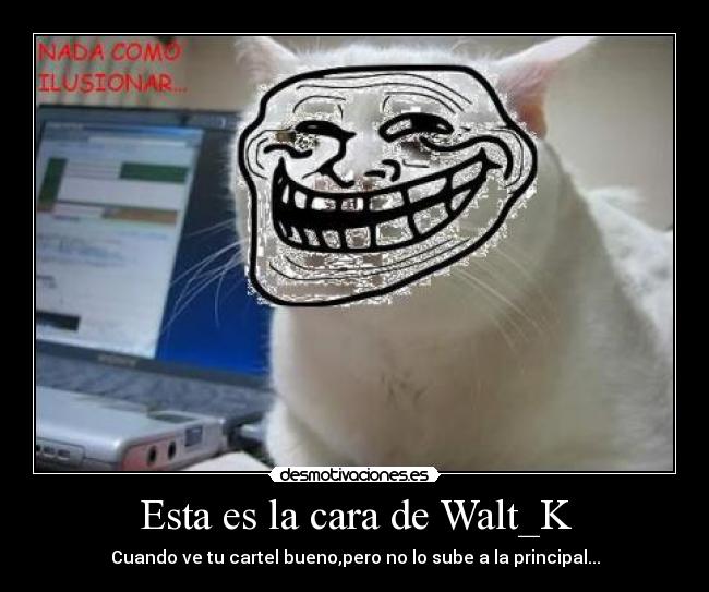 Esta es la cara de Walt_K - 