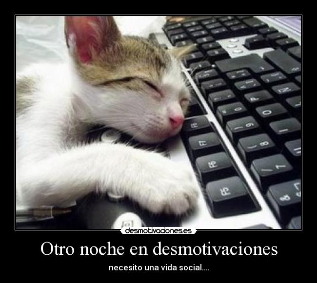 Otro noche en desmotivaciones - 