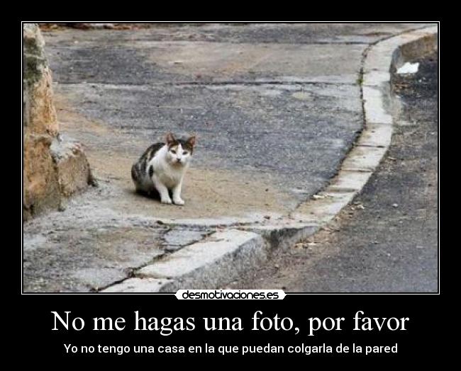 No me hagas una foto, por favor - Yo no tengo una casa en la que puedan colgarla de la pared