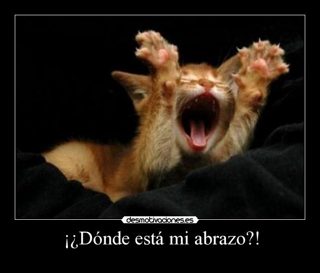 ¡¿Dónde está mi abrazo?! -