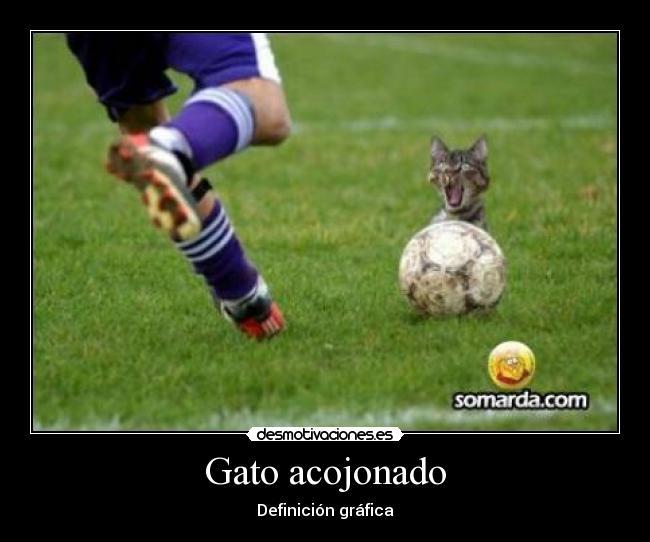 carteles  desmotivaciones