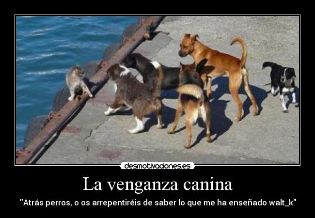 La venganza canina - Atrás perros, o os arrepentiréis de saber lo que me ha enseñado walt_k