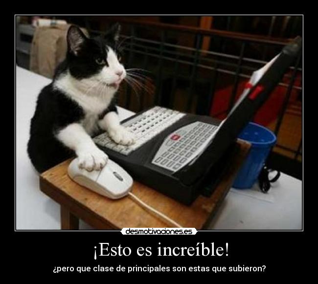 ¡Esto es increíble! -