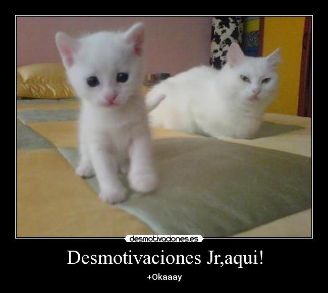 Desmotivaciones Jr,aqui! - 