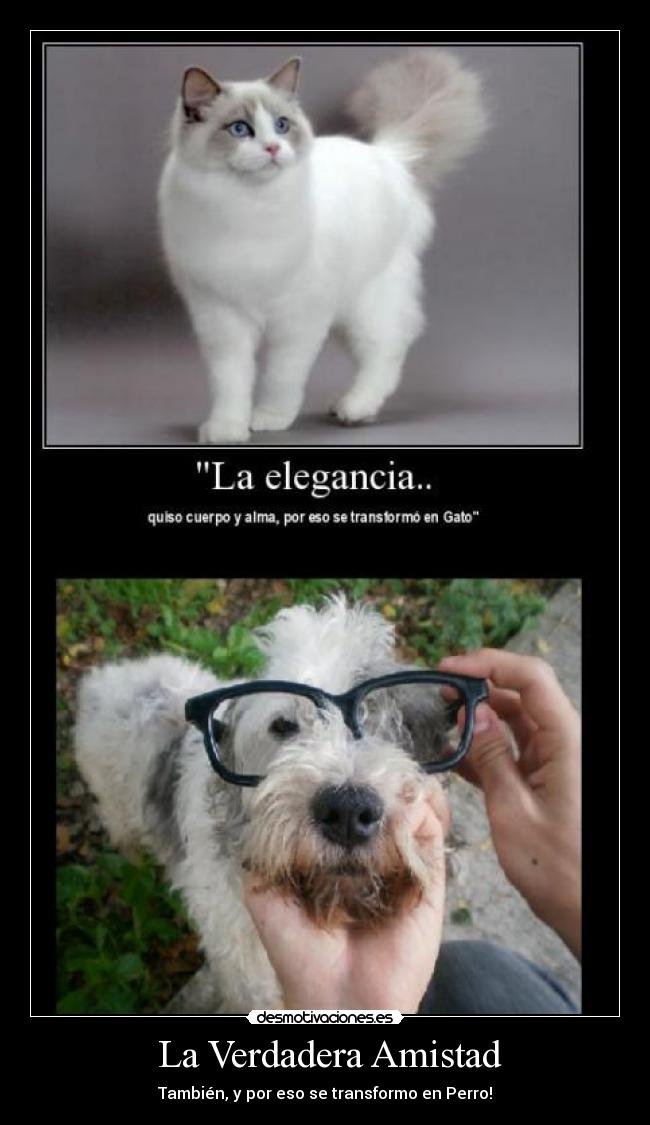 La Verdadera Amistad -