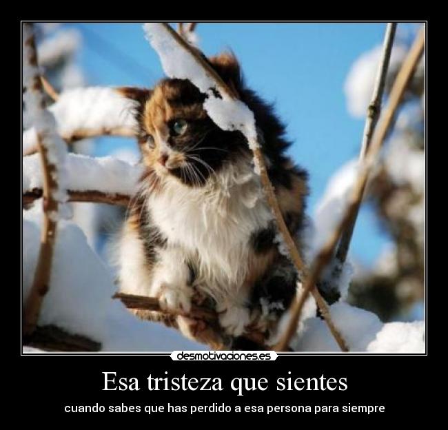 Esa tristeza que sientes - 