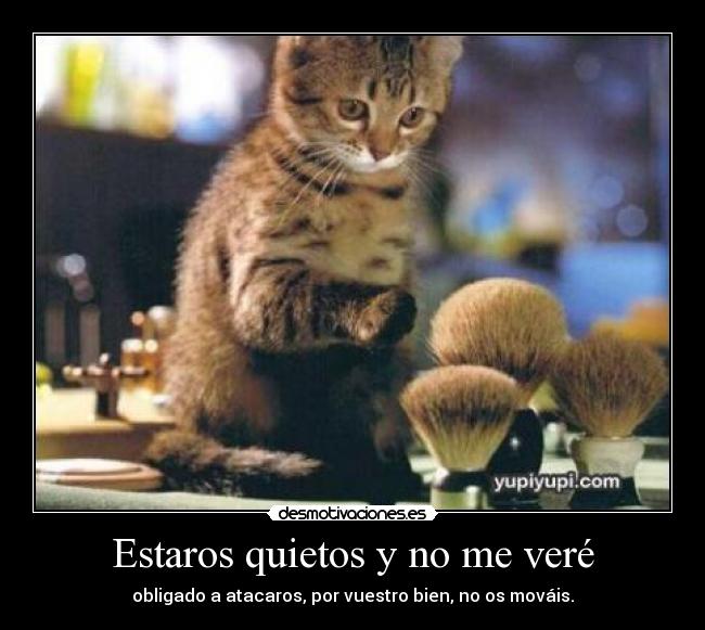 carteles gato desmotivaciones