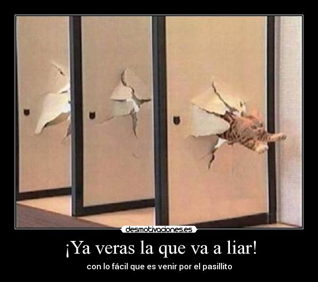 ¡Ya veras la que va a liar! - 