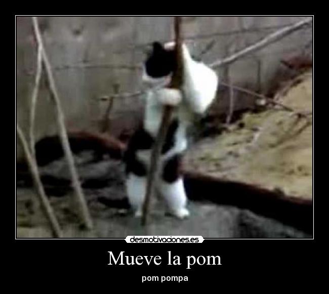 Mueve la pom - pom pompa♪