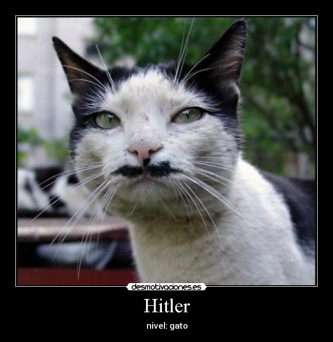 Hitler -
