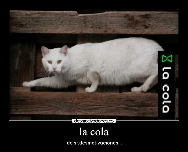 la cola - de sr.desmotivaciones...