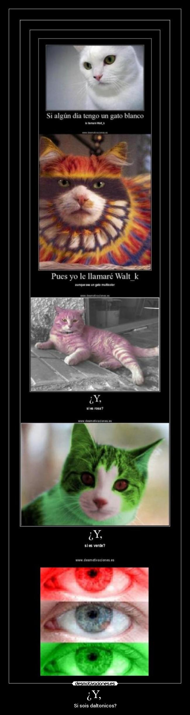 ¿Y,  - Si sois daltonicos?