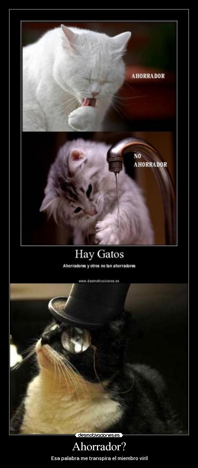 Ahorrador? -