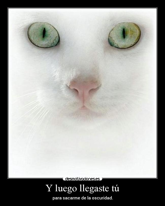 Y luego llegaste tú -