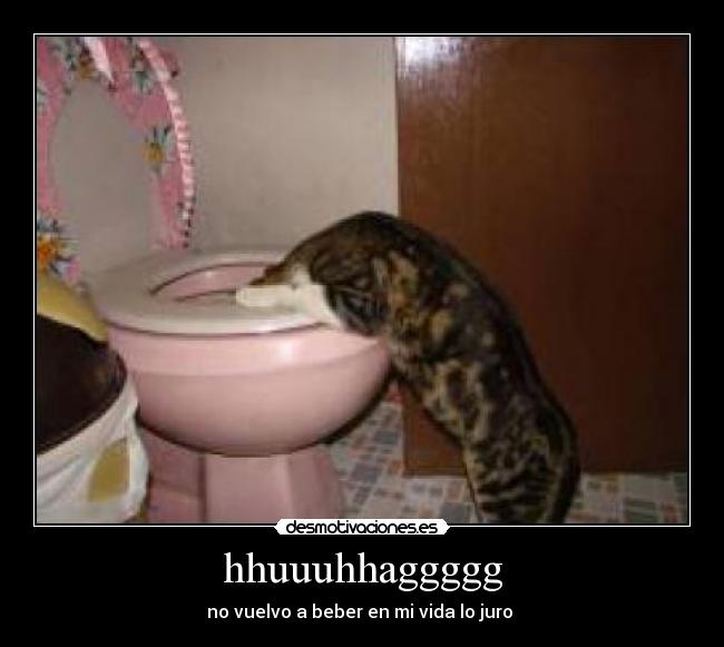 hhuuuhhaggggg - no vuelvo a beber en mi vida lo juro