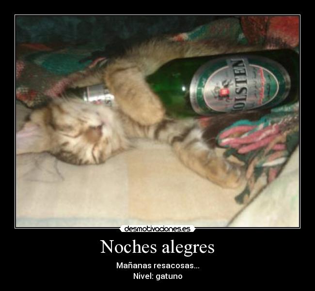 Noches alegres - Mañanas resacosas...
Nivel: gatuno