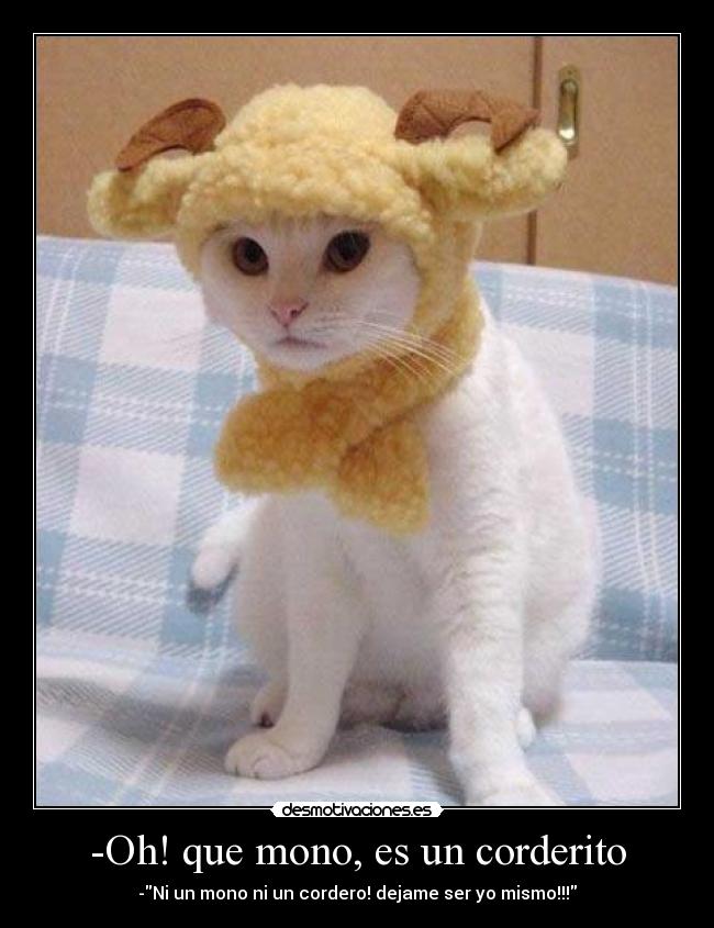 -Oh! que mono, es un corderito - -Ni un mono ni un cordero! dejame ser yo mismo!!!