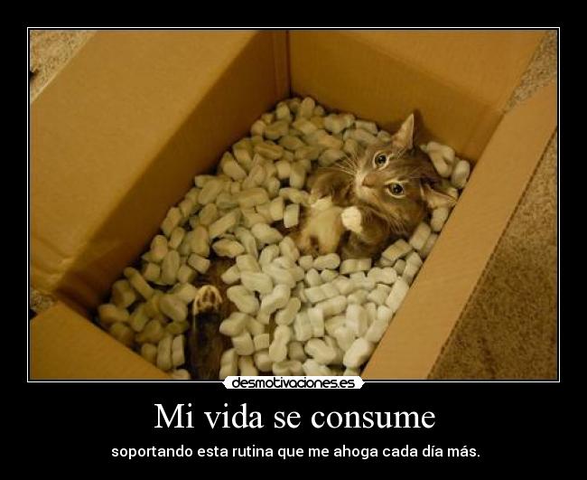 Mi vida se consume -