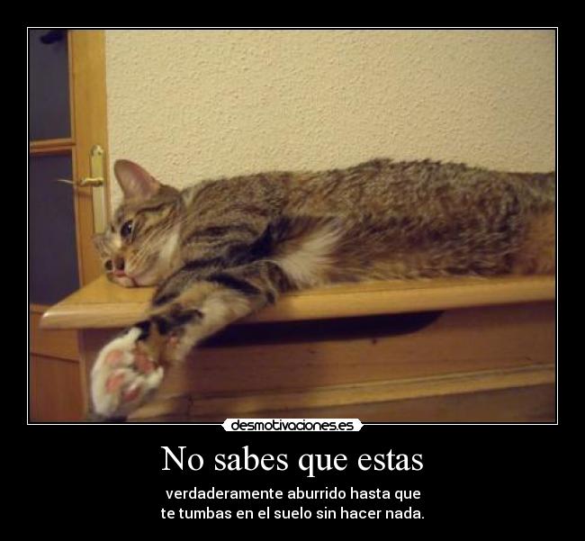 No sabes que estas -