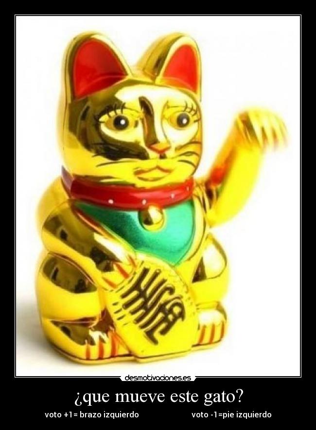 ¿que mueve este gato? - 