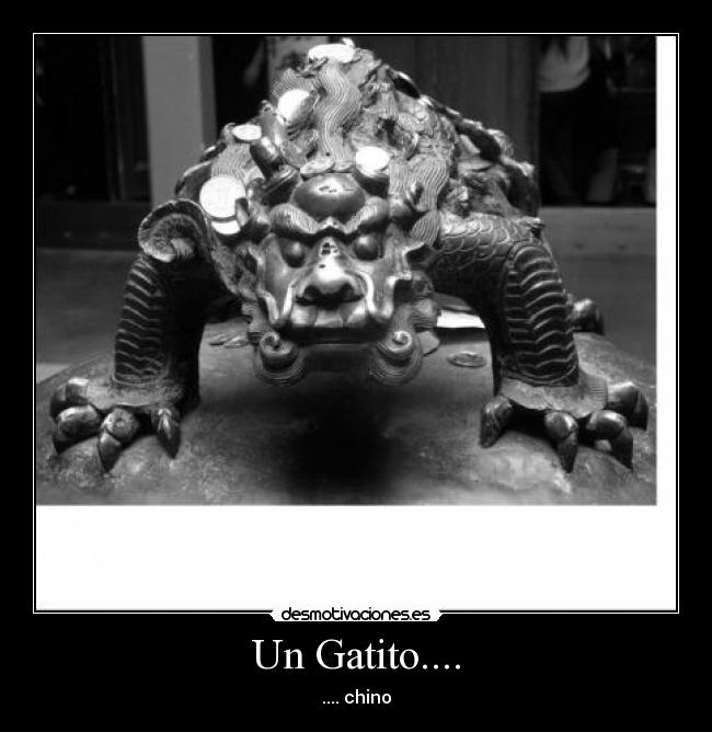 Un Gatito.... - 