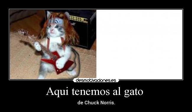 Aqui tenemos al gato  - 
