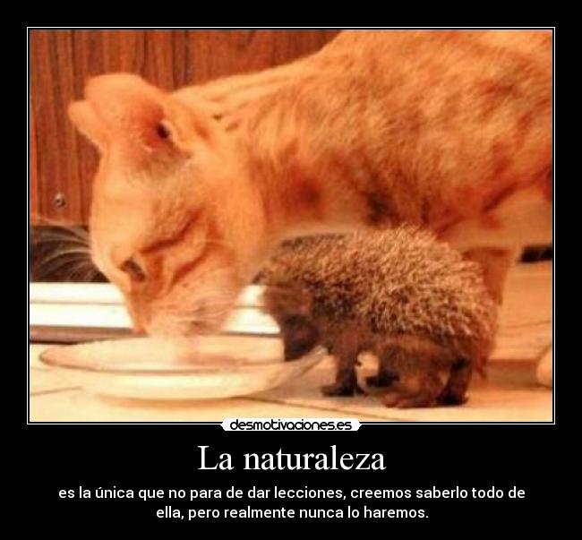 La naturaleza - 