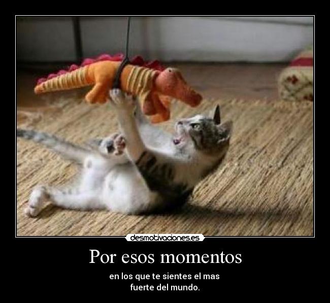 Por esos momentos - en los que te sientes el mas
fuerte del mundo.