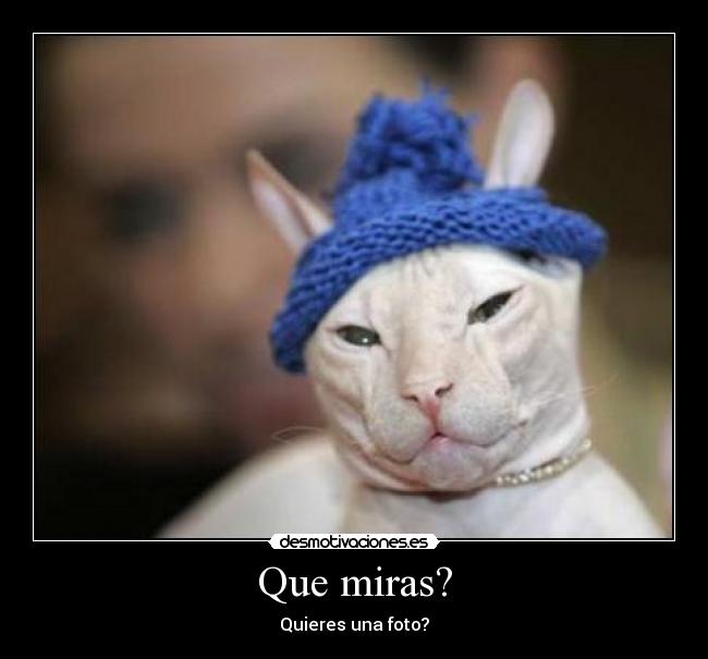 Que miras? -