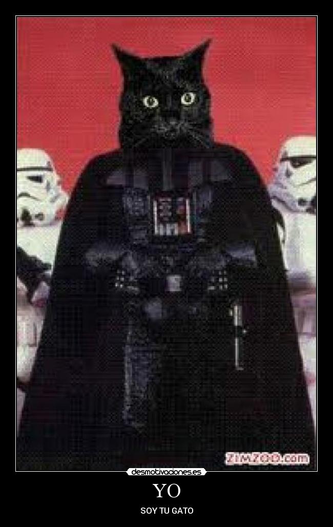 YO - SOY TU GATO