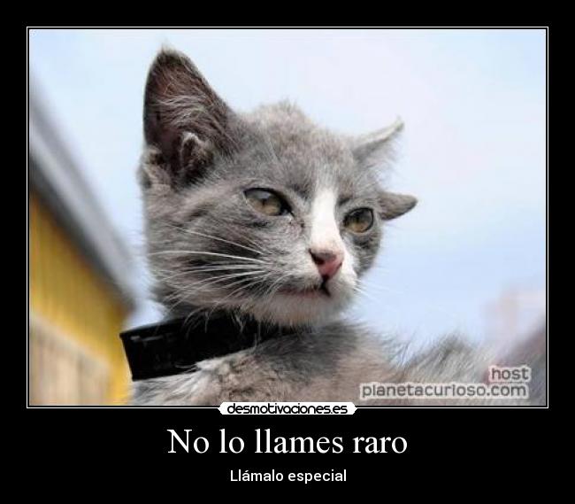 No lo llames raro -