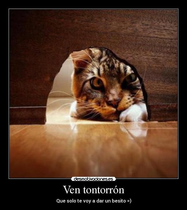 carteles ven tontorron desmotivaciones