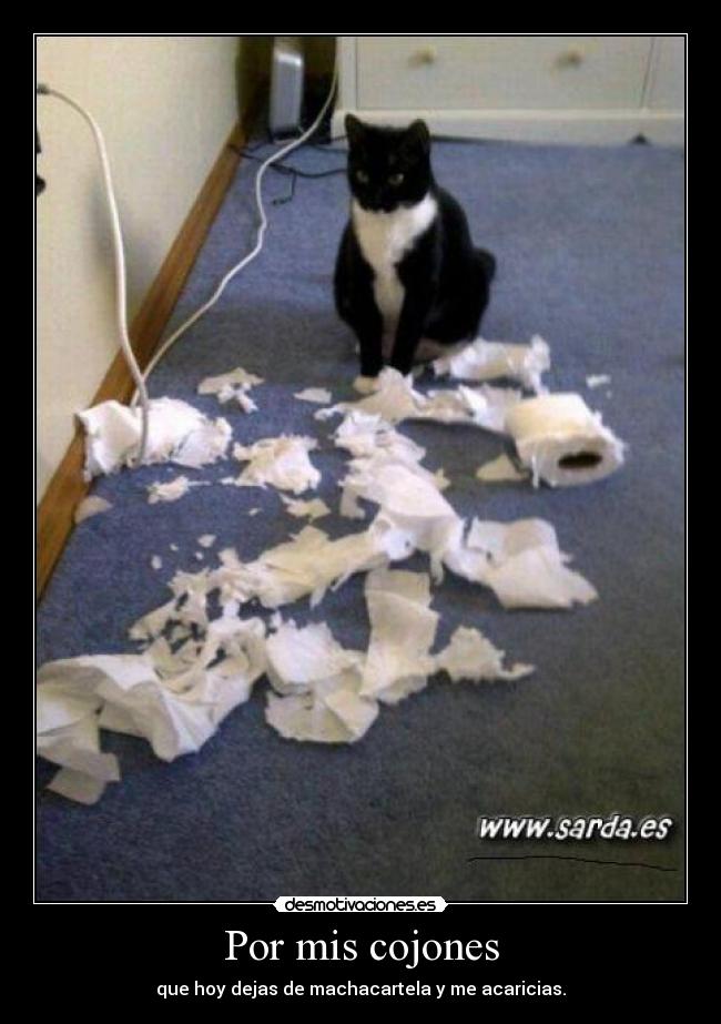 Por mis cojones - que hoy dejas de machacartela y me acaricias.