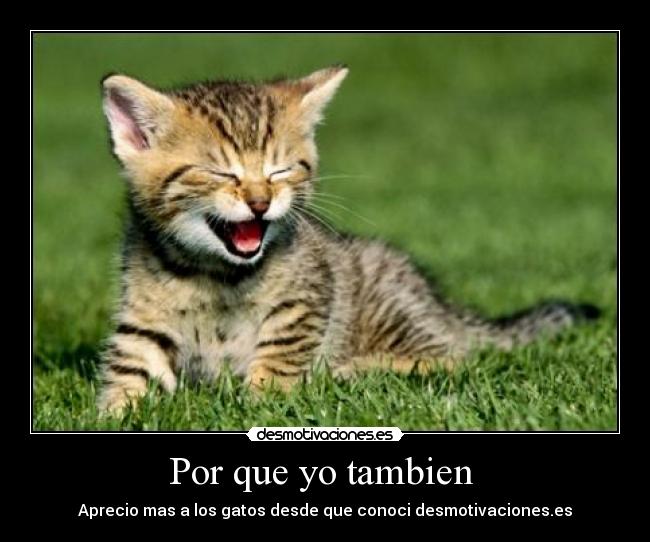 Por que yo tambien -