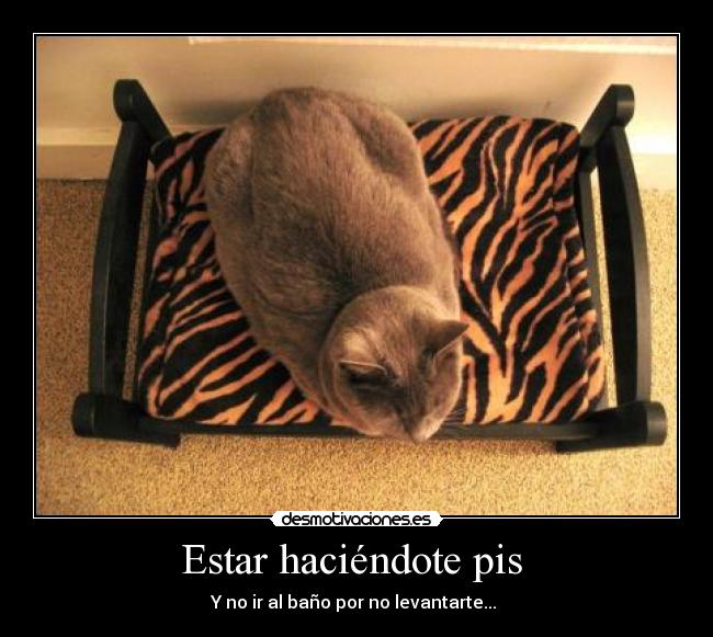 Estar haciéndote pis - Y no ir al baño por no levantarte...