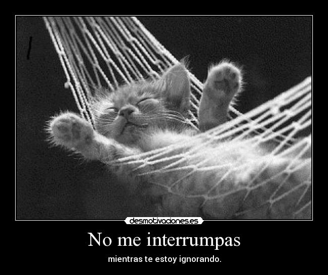 No me interrumpas - mientras te estoy ignorando.