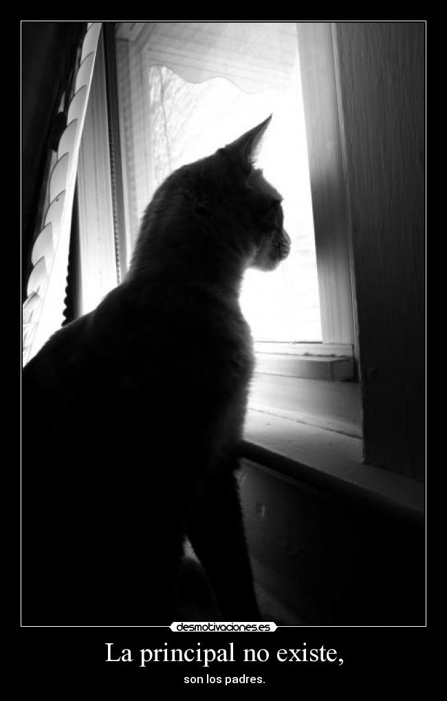 carteles principal gatospadres existe desmotivaciones