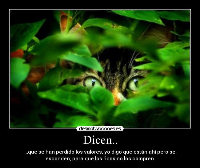 Dicen.. - ..que se han perdido los valores, yo digo que están ahí pero se
esconden, para que los ricos no los compren.