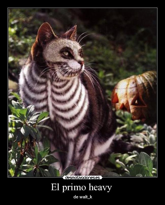 El primo heavy - de walt_k