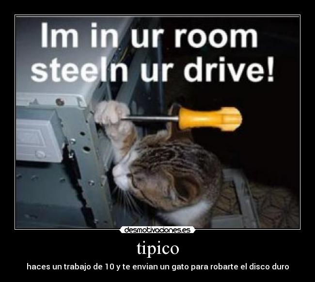 tipico - haces un trabajo de 10 y te envian un gato para robarte el disco duro