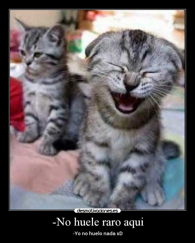 -No huele raro aqui - 