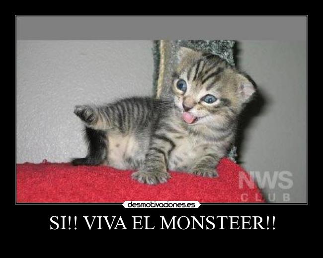 SI!! VIVA EL MONSTEER!! - 