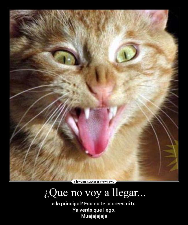 ¿Que no voy a llegar... - a la principal? Eso no te lo crees ni tú.
Ya verás que llego.
Muajajajaja