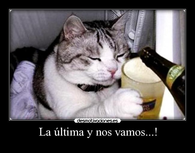 carteles gato desmotivaciones