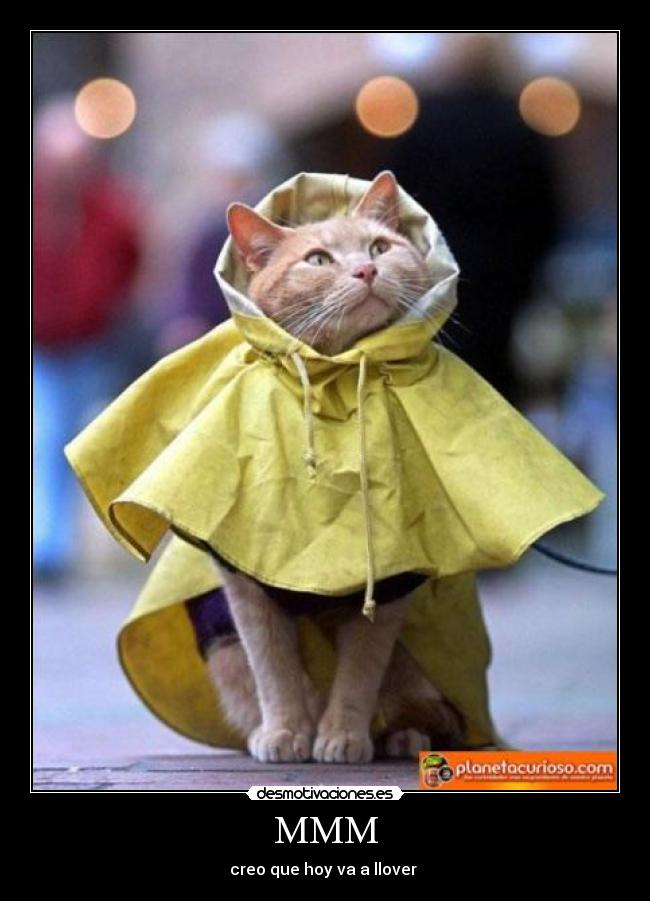 carteles fghfgh desmotivaciones