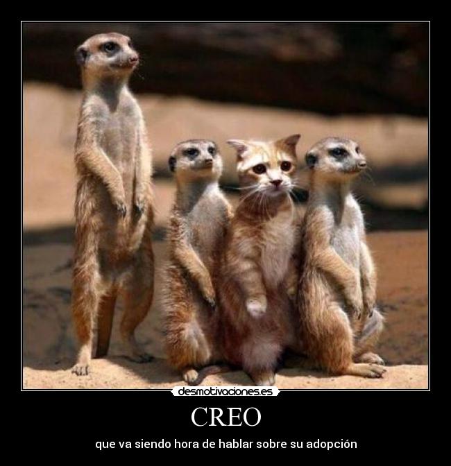 CREO - 