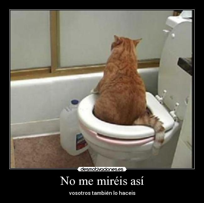 No me miréis así - 