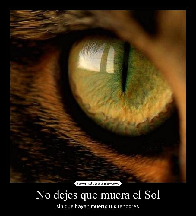 No dejes que muera el Sol - sin que hayan muerto tus rencores.